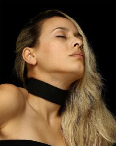 vg collars & accessories