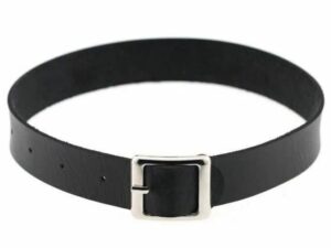 Collar with Metal Buckle - Black