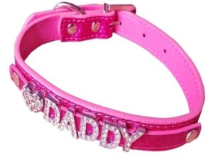 Rhinestone Daddy Collar - Magenta
